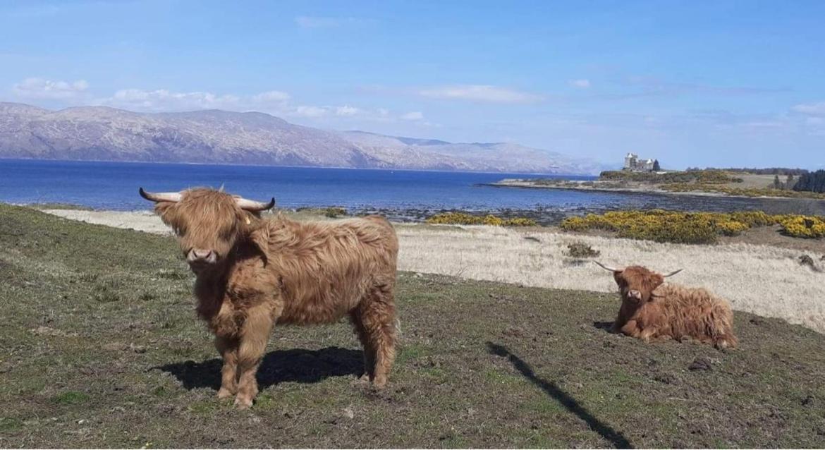 Ard Na Mara Self Catering Isle Of Mull Villa Dervaig Ngoại thất bức ảnh